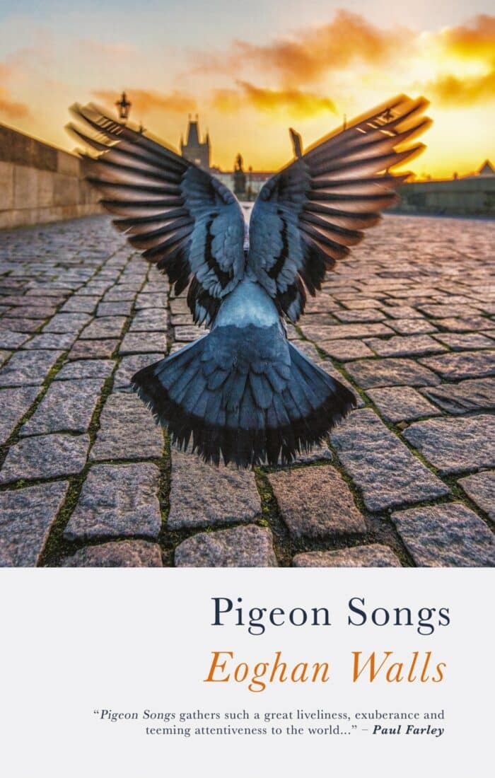 Eoghan Walls – Pigeon Songs